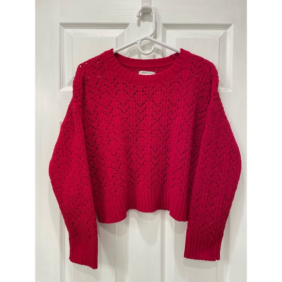 American Eagle Outfitters Sweaters - American Eagle Outfitters Cropped Sweater